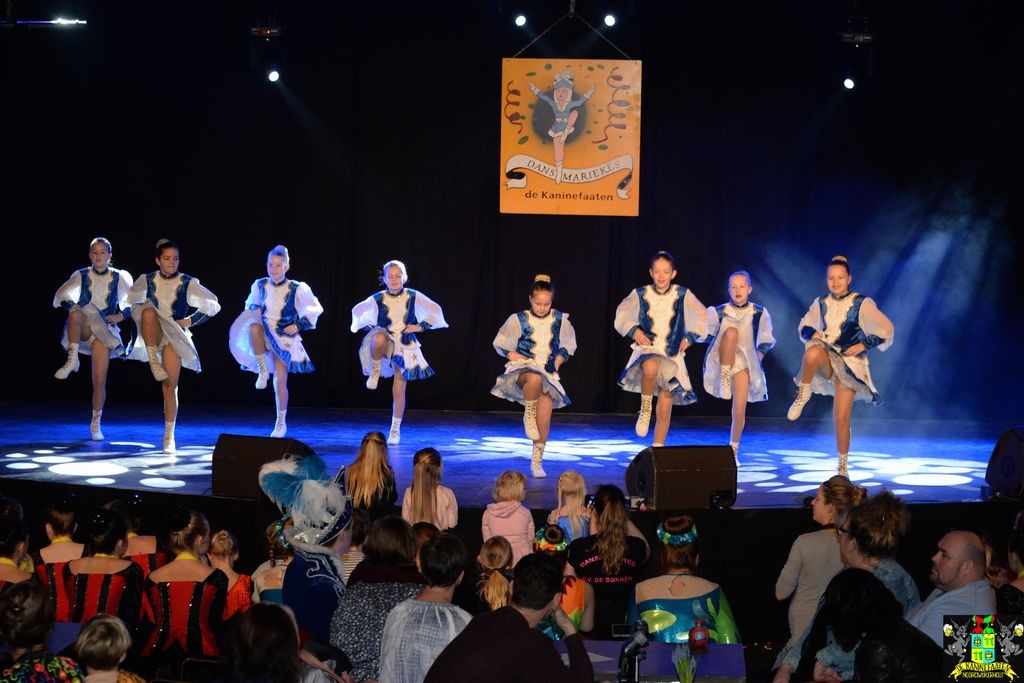 ../Images/Dansmarieke festival 2018 070.jpg